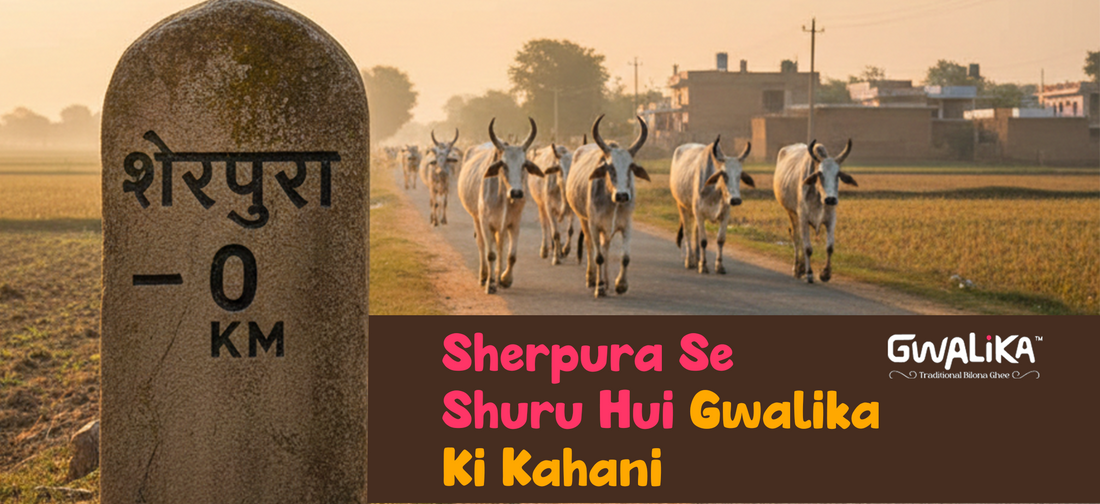 Gwalika brand origin story from Sherpura village, women-led Bilona ghee making initiative