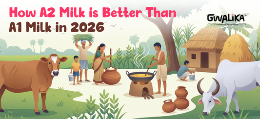 A2 milk from Kankrej cows – natural, easy-to-digest dairy from native Indian breeds